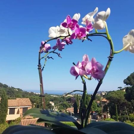 Hameau Du Soleil Cavalaire-sur-Mer Exterior foto